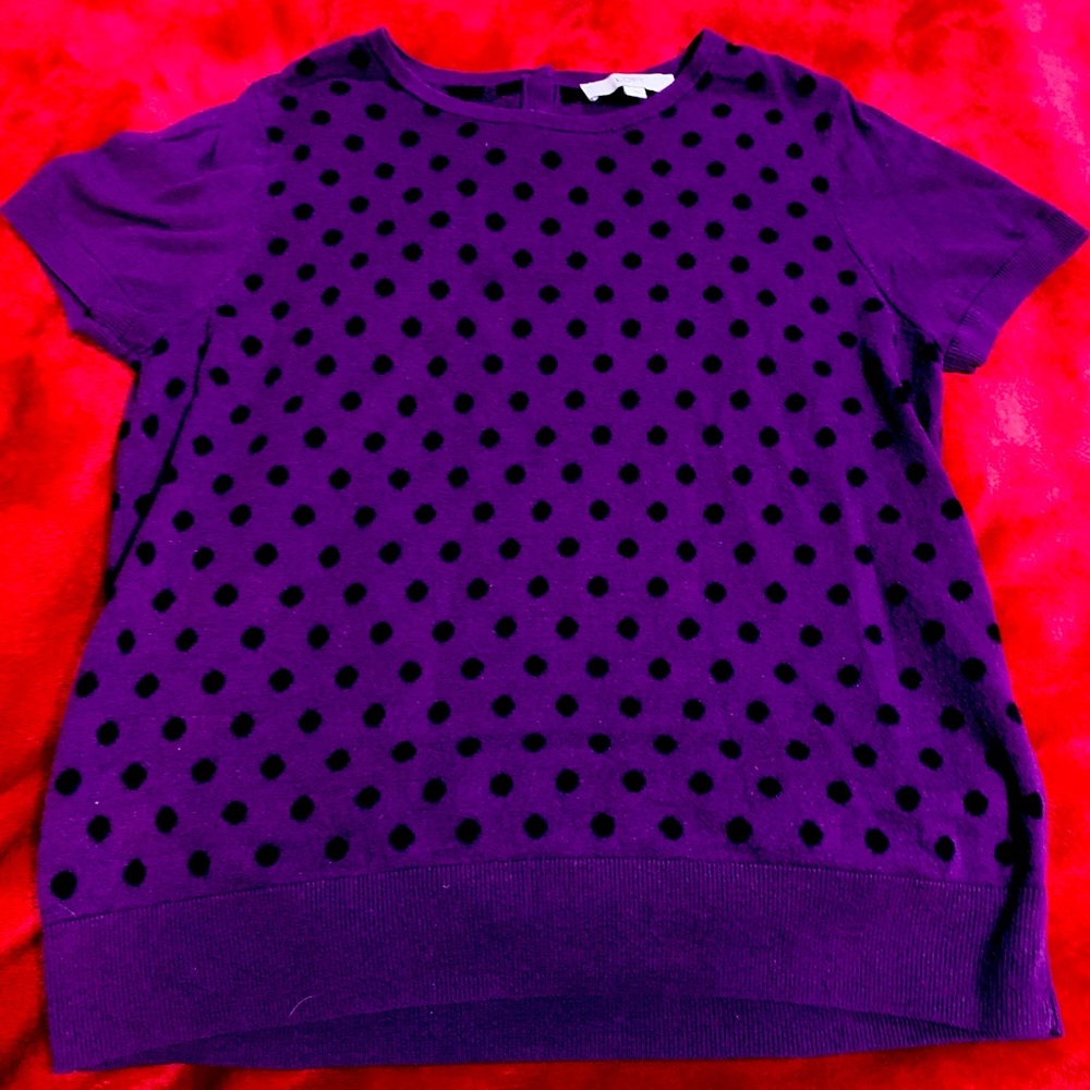 Ann Taylor LOFT Dot Purple Cap Sleeve Sweater